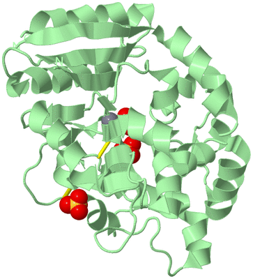 Image Biological Unit 2