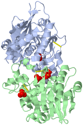 Image Biological Unit 3