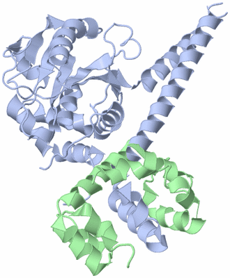 Image Asym./Biol. Unit