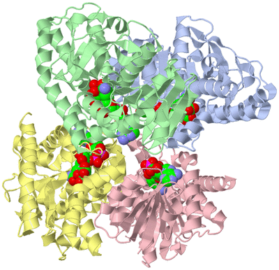 Image Asym./Biol. Unit