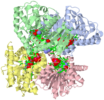 Image Asym./Biol. Unit - sites