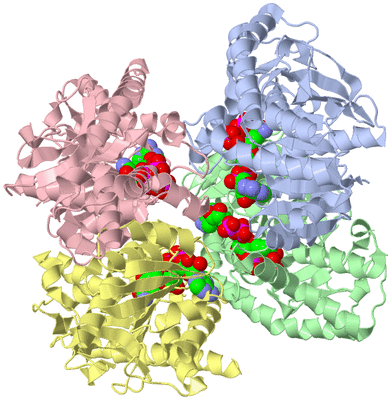 Image Asym./Biol. Unit