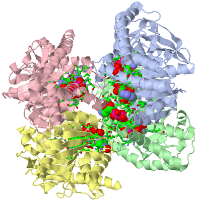 Image Asym./Biol. Unit - sites