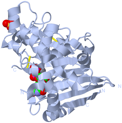 Image Biological Unit 1