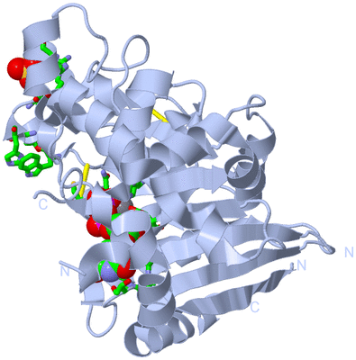 Image Biol. Unit 1 - sites