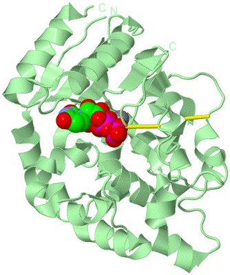 Image Biological Unit 2