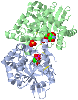 Image Biological Unit 3