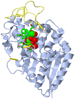 Image Asym./Biol. Unit - sites