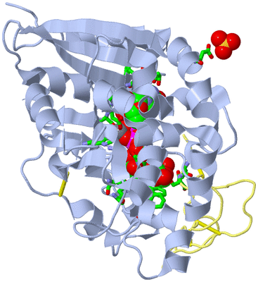 Image Asym./Biol. Unit - sites