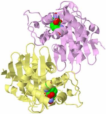 Image Biological Unit 3