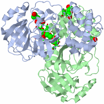 Image Biol. Unit 1 - sites