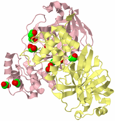 Image Biological Unit 2