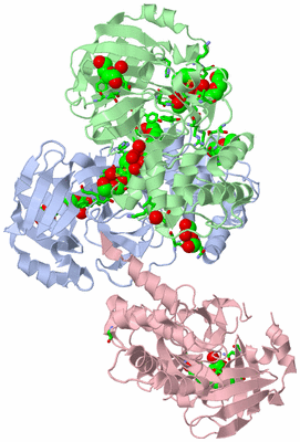 Image Asym./Biol. Unit - sites