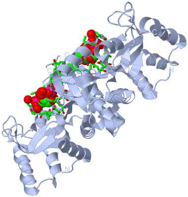 Image Biol. Unit 1 - sites