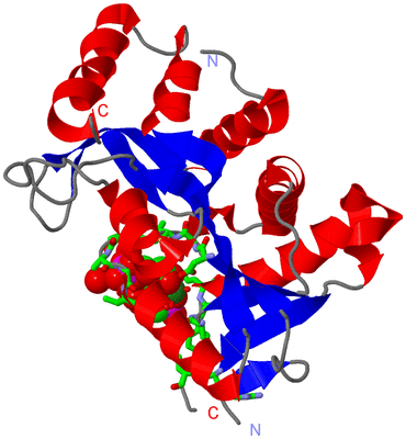 Image Asym. Unit - sites