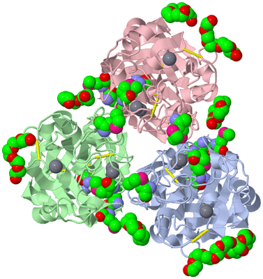 Image Biological Unit 2