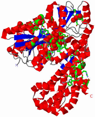 Image Asym./Biol. Unit - sites