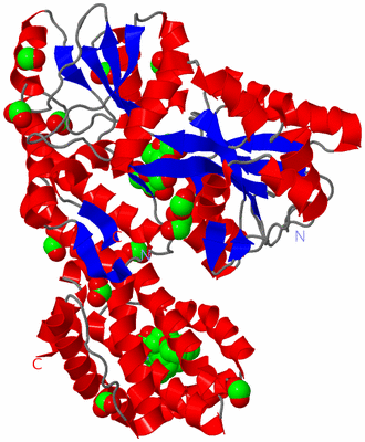 Image Asym./Biol. Unit