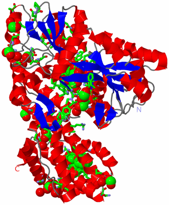 Image Asym./Biol. Unit - sites