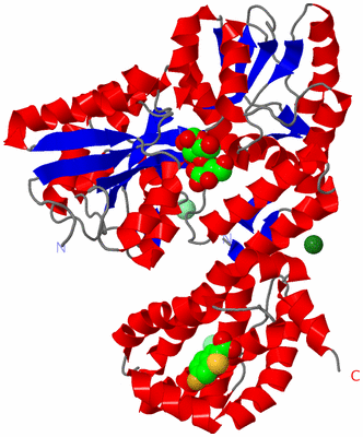 Image Asym./Biol. Unit