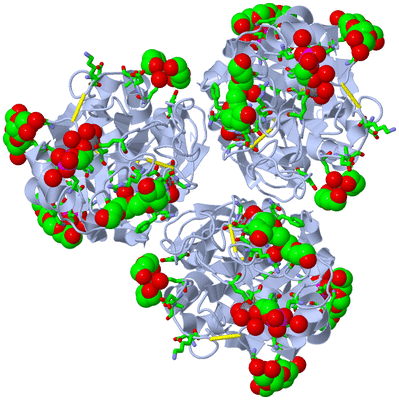 Image Biol. Unit 1 - sites