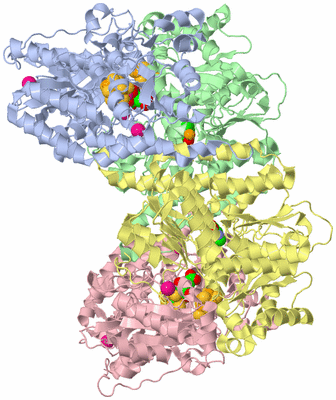 Image Asym./Biol. Unit