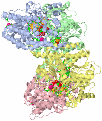 Image Asym./Biol. Unit - sites