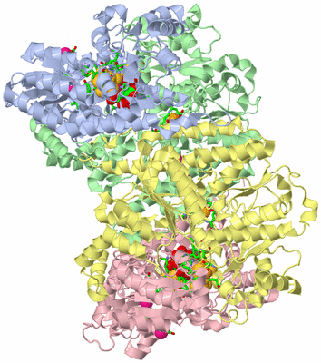 Image Asym./Biol. Unit - sites