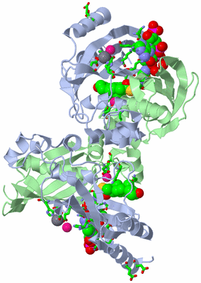 Image Biol. Unit 1 - sites