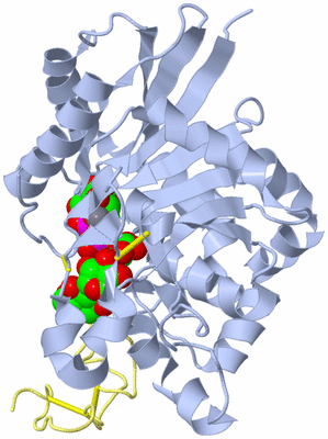 Image Asym./Biol. Unit