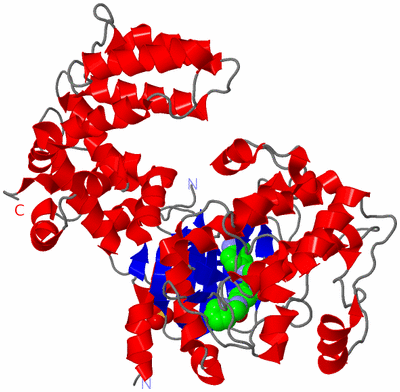 Image Asym./Biol. Unit