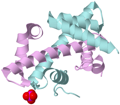 Image Biological Unit 2