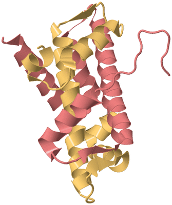 Image Biological Unit 3