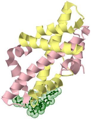 Image Biological Unit 4