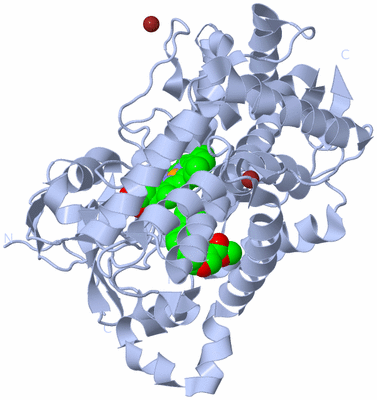 Image Biological Unit 1