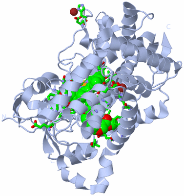 Image Biol. Unit 1 - sites