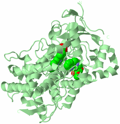 Image Biological Unit 2