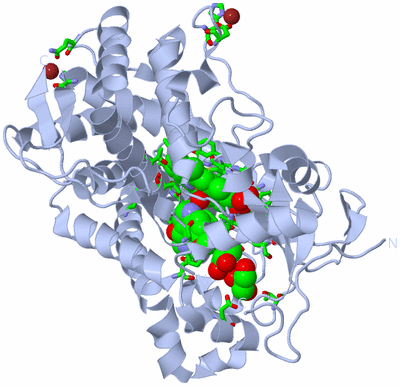 Image Biol. Unit 1 - sites