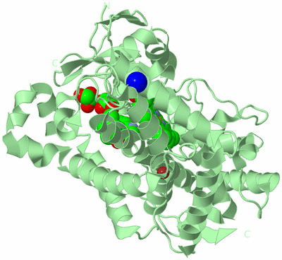 Image Biological Unit 2