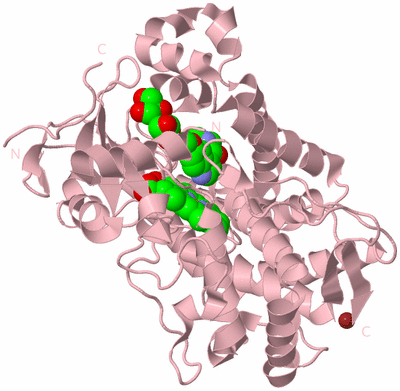 Image Biological Unit 3