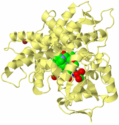 Image Biological Unit 4