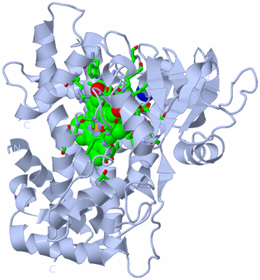 Image Biol. Unit 1 - sites