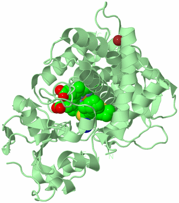 Image Biological Unit 2