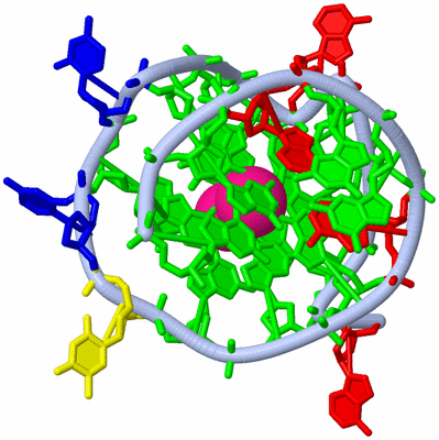 Image Biological Unit 2