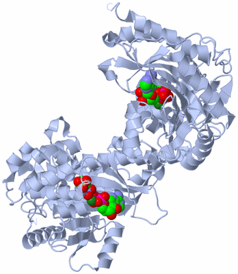 Image Biological Unit 1