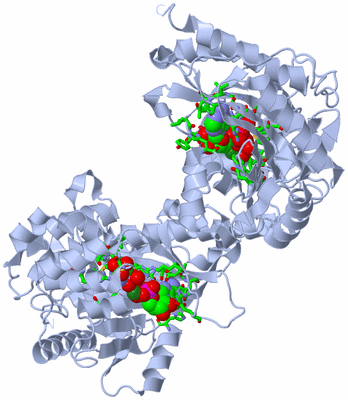 Image Biol. Unit 1 - sites