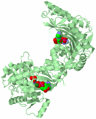 Image Biological Unit 2