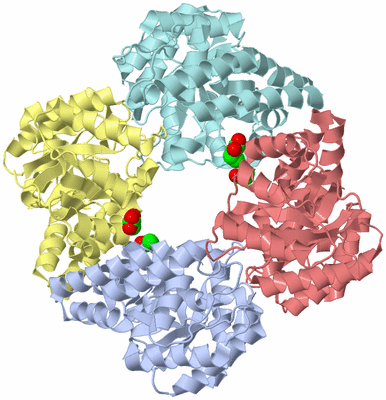 Image Biological Unit 1