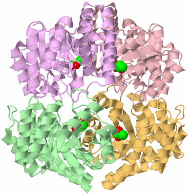 Image Biological Unit 2