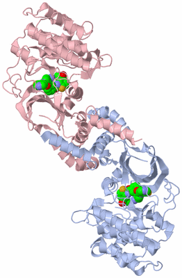 Image Biological Unit 1